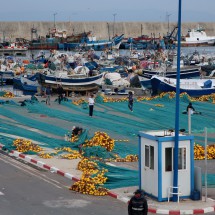 Busy fishing port of Tangier
